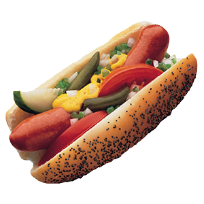 Image of a Chicago hotdog