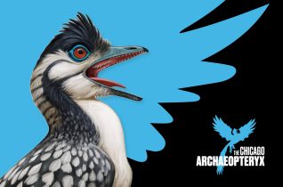 The Chicago <em>Archaeopteryx</em> Identity