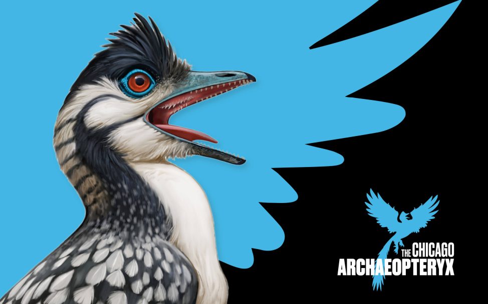 The Chicago <em>Archaeopteryx</em> Identity