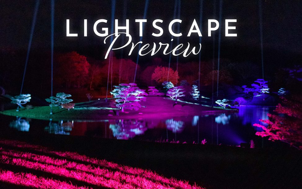 Lightscape Preview 2022