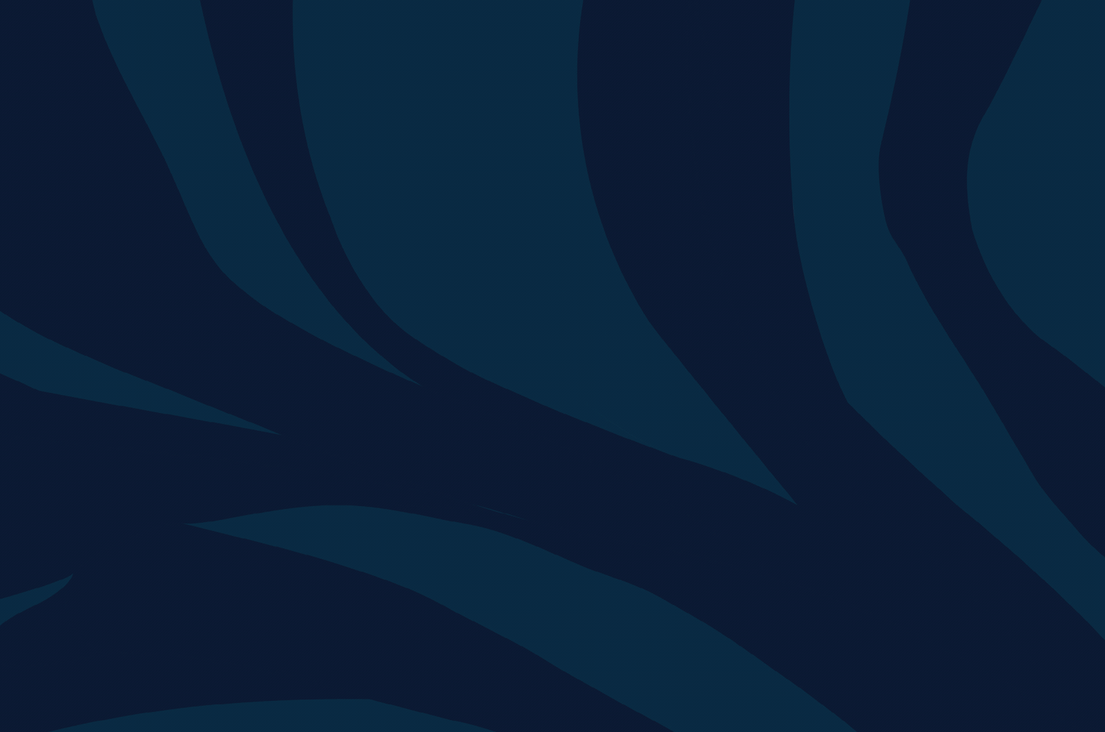 Brand Development & Website